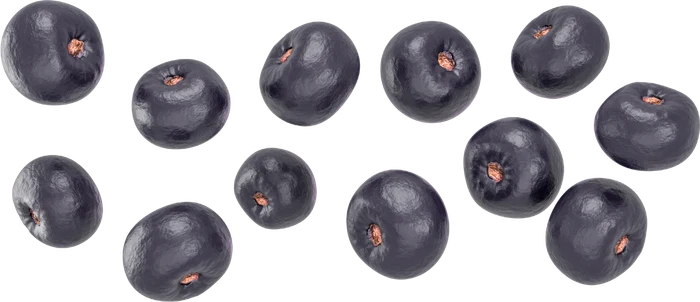 Açaí Extract