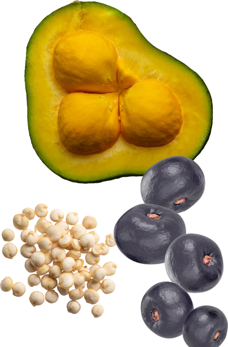 Pequi fruit, açaí berries and quinoa seeds