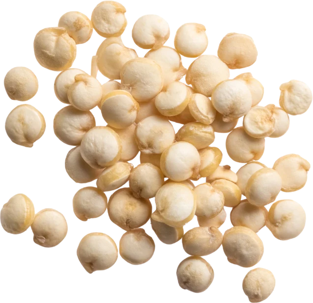 Quinoa Protein